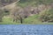 Meadows and pastures in hilly valley flooded with a spring river stream. Trees on a hillside near the lake water