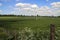 Meadows and roads in the Zuidplaspolder area where water can\\\'t be managed anymore