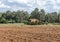 Meadows with rural house