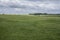 Meadows - Salisbury plain.