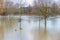 Meadows in Serious flooding along river near the River Thames of Caversham, Reading area of Berkshire, England