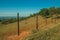 Meadows and trees in a green valley and barbed wire fence