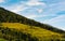 Meadows and woods panorama on the mountains in Austrian Alps