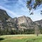 The Meadows of the Yosemite Valley