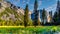 Meadows in Yosemite Valley with famous granite rock El Capitan in the background in Yosemite National Park