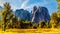 Meadows in Yosemite Valley with famous granite rock El Capitan in the background in Yosemite National Park