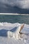 Meaford, Ontario, Canada Waterfront Covered In Thick Ice