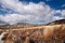 Meager landscape in the Tongariro National Park