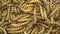 Mealworm