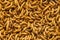 Mealworm Background