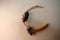 Mealworm ; life cycle of a mealworm Larva and Adult Meal worms eating lizard carcass . superworm  - Stages of the meal worm  - t