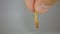 Mealworm - superworm | adult on the hand close up - Stages of the meal worm - the life cycle of a mealworm - mealworms ,