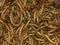 Mealworms