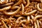 Mealworms