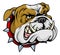 Mean bulldog mascot illustration