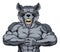 Mean wolf sports mascot