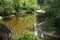 Meandering brook Boven Slinge in primeval forest Bekendelle near Winterswijk