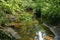 Meandering brook Boven Slinge in primeval forest Bekendelle near Winterswijk