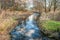 Meandering brook in a forest