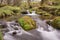 Meandering Dartmoor Stream