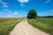 Meandering foot path dirt track winding through farmland in the Polish countryside. Concepts looking forward, long road ahead