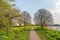 Meandering path through a colorful spring landscape