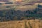 Meandering path through fields in golden winter light, Scotland