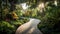 A meandering path through a lush, botanical garden filled with exotic plants