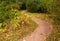 Meandering path in the park