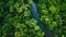 A meandering river winds its way through a dense forest filled with lush green foliage, An aerial view of a dense jungle with a