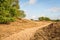 Meandering sand path through a Dutch national park with dunes