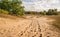 Meandering sand path through a Dutch national park with shiftin