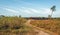 Meandering sandy path through a large Dutch nature reserve with