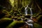 A meandering stream cutting through a dense, mist-covered forest in the early morning