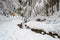 Meandering stream with deep snow banks, passing under white fir trees, towards a warm, wooden, mountain hut, in a forest