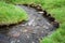 Meandering stream in green grass.