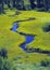 Meandering Stream Through A Meadow