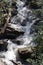 Meandering stream among rocks and green leaves