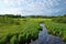 Meandering stream in rural Maine