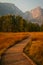 Meandering wooden pathway going through Yosemite Valley