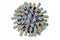 Measles virus illustration