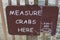 Measure Crabs Here Sign