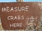 measure crabs here sign with five inches minimum