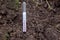 Measurement using a soil temperature thermometer in the spring to determine the readiness of the soil to plant crops_