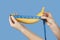 Measuring the size of a banana as a symbol of the male penis isolated on blue background. Big dick length. Strong erection and