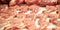 Meat concept. Raw pork loin chops at butcher shop. Uncooked steaks for background, closeup, above view