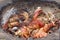 Meat cooking in the ground at Old Lahaina Luau, Maui, Hawaii