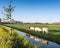 Meat cows in dutch spring meadow reflected in canal bahind yellow rapeseed flowers