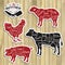 Meat cuts. Diagrams for butcher shop. Animal silhouette. Vector illustration. Sticker set on wood.
