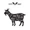 Meat cuts - goat. Diagrams for butcher shop. Scheme of goat. Animal silhouette goat. Guide for cutting
